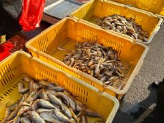 -渔民船说·北塘海鲜·天津菜·海肠捞饭(北塘古镇店)