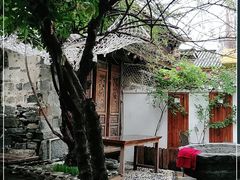 -喵屿·大理花园猫咖