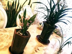 -保利·罗兰香谷