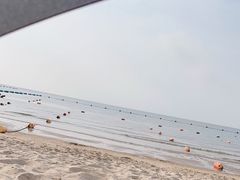 -北戴河东海水浴场