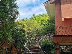 -雁南飞茶田景区