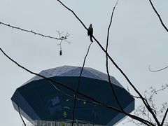 -白云山风景名胜区