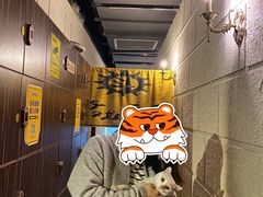 -逃脱反斗城沉浸剧情密室(北京路店)