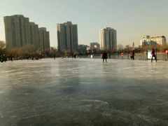 -紫竹院公园冰场