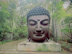 -杭州植物园