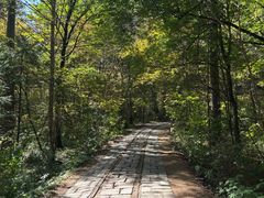 -五营红松林海景区