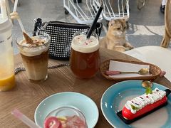 -共舞时光猫咖·狗咖(新街口店)