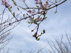 -白塘生态植物园
