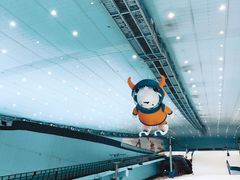 -哈尔滨热雪奇迹