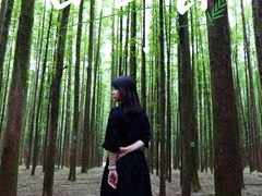 -山王坪喀斯特国家生态公园