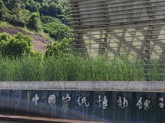 -中国宣纸文化园