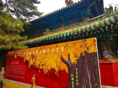 -潭柘寺景区