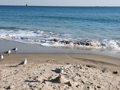 -海云台海滩