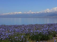 -天山集市(和家乐广场店)