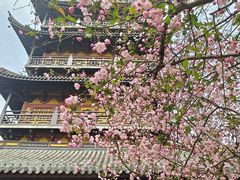 -常熟方塔园