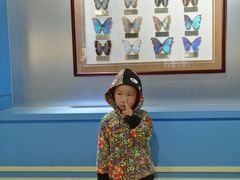 -上海昆虫博物馆