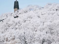 -高尔山公园