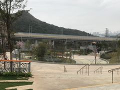 -梧桐山风景名胜区