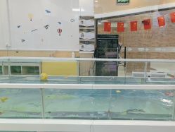 -鱼乐贝贝婴幼儿游泳中心(梅江印象城店)