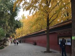 景点-景山公园