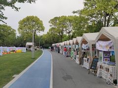 -渤公岛生态公园