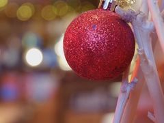 -玛格萝妮(汇智国际商业中心店)