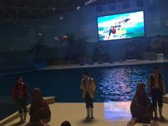 -泉城欧乐堡海洋极地世界