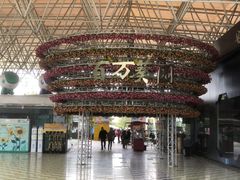 -百万葵园