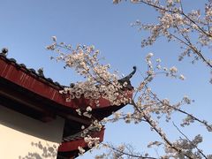 -堤角公园