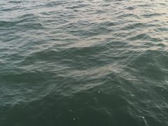 -东疆建设开发纪念公园
