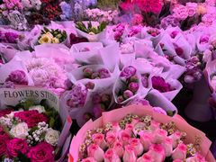 -花鸟鱼虫鲜花绿植市场(玉泉路店)