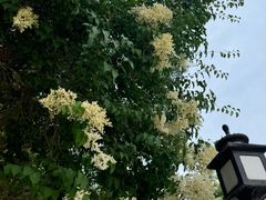 -张掖大佛寺景区