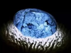 -西宁福茵长乐国际大酒店