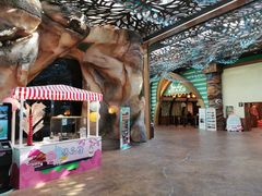 -杭州开元森泊度假乐园