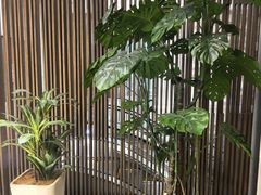-康道天地(达邦协作广场店)