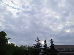 -成都大学-图书馆