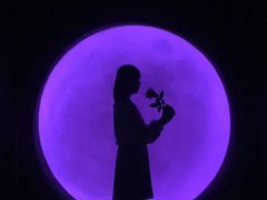 -苏州5D星空错觉艺术馆