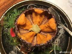 -桐寿司Sushi Tong