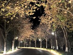 -大堂吧·下午茶·特调鸡尾酒(大连一方城堡豪华精选酒店)