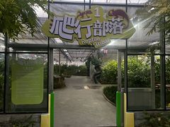 -南宫五洲植物乐园