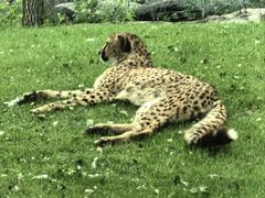 -北京野生动物园