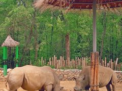 -北京野生动物园