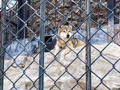 -大连森林动物园