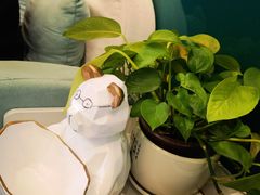 -美迦爱-动物医院·骨科·牙科·夜诊(朝阳路诊疗中心)