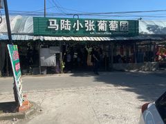 -马陆小张葡萄园农家乐