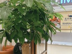 -新吉士·上海菜(浦东LCM置汇旭辉店)