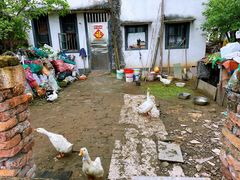 -星巴克(绍兴柯桥柯岩景区店)