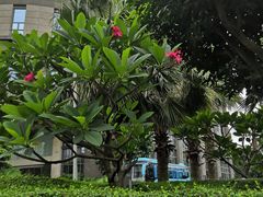 -牡丹国际大酒店-港式茶餐厅