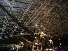 -世界恐龙谷景区