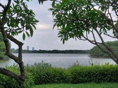 -海珠湖公园